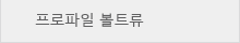 프로파일 볼트류